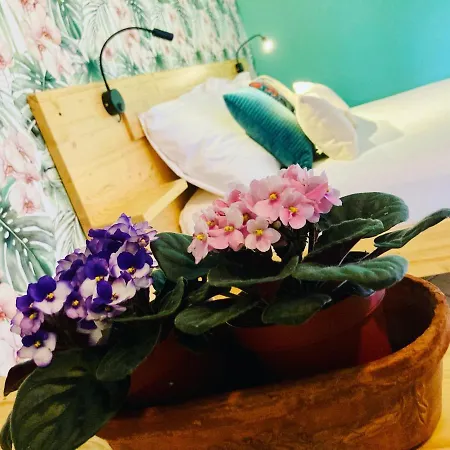 Del Borgo 3* Prunetto