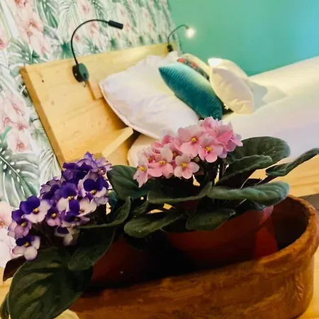 Del Borgo Bed & Breakfast 3*