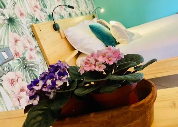 Del Borgo B&B 3*
