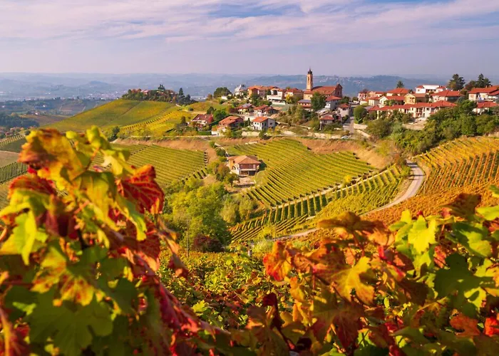 Del Borgo 3* Prunetto